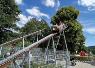 Adlerflug im Freizeitpark Lochmühle