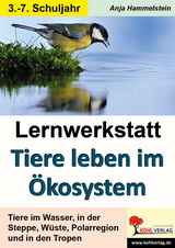 Sachunterricht Kopiervorlagen. Arbeitsbltter Grundschule