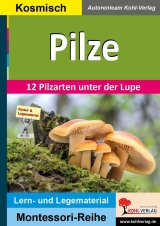 Sachunterricht Kopiervorlagen. Arbeitsblätter Grundschule