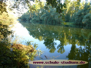 Badesee in Lingenfeld