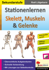 Stationenlernen Skelette, Muskeln & Gelenke