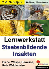 Lernwerkstatt Biologie : Staatenbildende Insekten