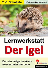 Lernwerkstatt Biologie : Igel