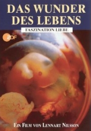 Biologie Lehrfilme. Einblicke in den menschlichen Körper