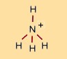 Lewisschreibweise des Ammoniumions