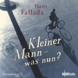 Kleiner Mann, was nun?. Hans Fallada. Roman