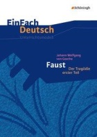 Faust 1 - ausführliche Anleitung