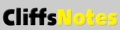 CliffsNotes. Englisch Interpretationen