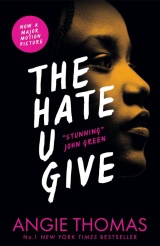 The Hate U Give. Inhaltlicher Schwerpunkt Zentralabitur 2024/2025