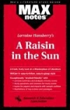 Landesabitur Englisch NRW. A raisin in the sun