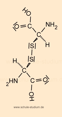 Essentielle Aminosäure - Strukturformel L-Cystin