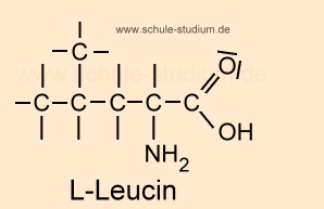 Essentielle Aminosäure - Strukturformel L-Leucin Leu