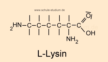 Essentielle Aminosäure - Strukturformel L-Lysin Lys