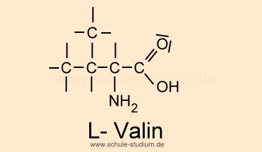 Essentielle Aminosäure - Strukturformel L-Valin Val