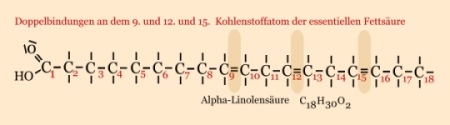 Linolsäure - Aufbau und Strukturformel