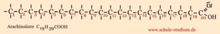 Gesättigte Fettsaeuren: Arachinsäure C19H39COOH