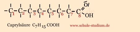 Gesättigte Fettsaeuren: Palmitinsäure C15H31COOH