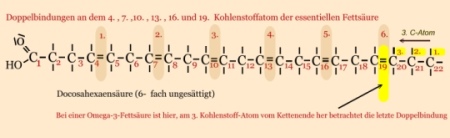 Docosahexaensäure (DHA)