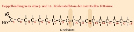 Linolsäure - essentielle Fettsäure Linolsäure - Aufbau und Strukturformel