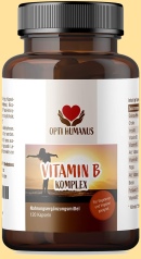 Vitamin B-Komplex