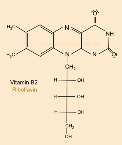 Vitamin B2 (Riboflavin)