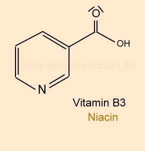 Vitamin B3 (Niacin/Nicotinsäure)