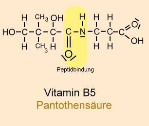 Vitamin B5 (Pantothensäure)