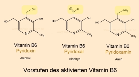 Vitamin B6 (Pantothensäure)