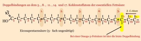 Eicosapentaensäure (EPA)