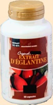 Hagebutten Extrakt - reich an natürlichem Vitamin C