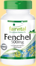 Fenchel