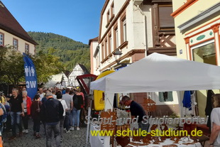 Keschdefeschd /Kastanienfest in Annweiler 2023 (Pfalz)