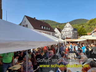 Keschdefeschd /Kastanienfest in Annweiler 2023 (Pfalz)