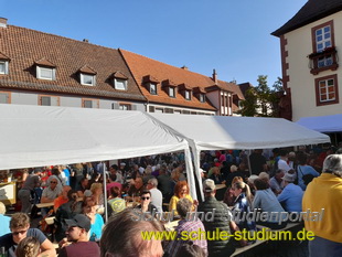 Keschdefeschd /Kastanienfest in Annweiler 2023 (Pfalz)