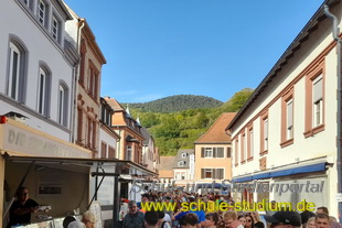 Keschdefeschd /Kastanienfest in Annweiler 2023 (Pfalz)