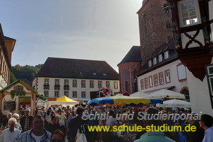 Keschdefeschd /Kastanienfest in Annweiler 2023 (Pfalz)