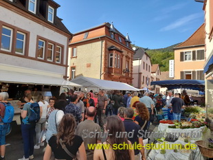 Keschdefeschd /Kastanienfest in Annweiler 2023 (Pfalz)