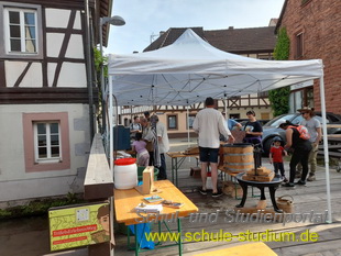 Museumstag in Annweiler 2023 (Pfalz)