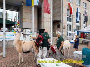 Museumstag in Annweiler 2023 (Pfalz)