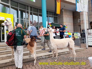 Museumstag in Annweiler 2023 (Pfalz)