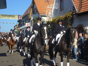 Purzelmarkt Umzug Billigheim-Ingenheim