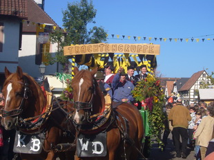 Purzelmarkt Umzug Billigheim-Ingenheim