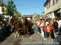 Billigheimer Purzelmarkt, Bilder vom  18.09.05