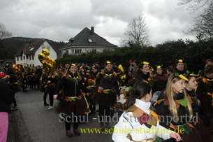 Faschingsumzug in Dahn (Pfalz)