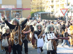 Faschingsumzug in Germersheim (Südwestpfalz)