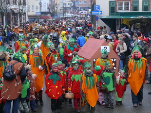 Faschingsumzug in Dahn (Südwestpfalz)