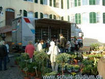 Herbstmarkt in Bad Bergzabern am verkaufsoffenen Sonntag 23. OKtober 2005