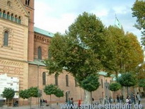 Herbstmarkt in Speyer am 1.11.2005