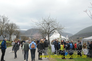 Mandelblütenfest in Edenkoben (Pfalz)