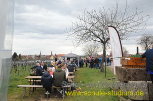 Mandelblütenfest in Edenkoben (Pfalz)